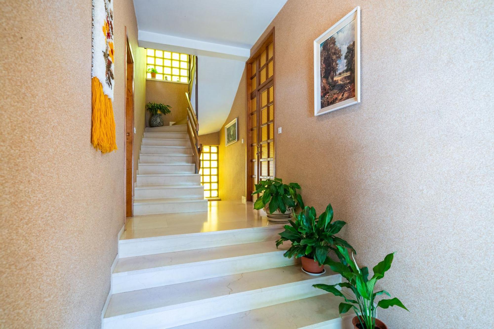 Apartments Villa Ivka Dubrovnik Exterior photo
